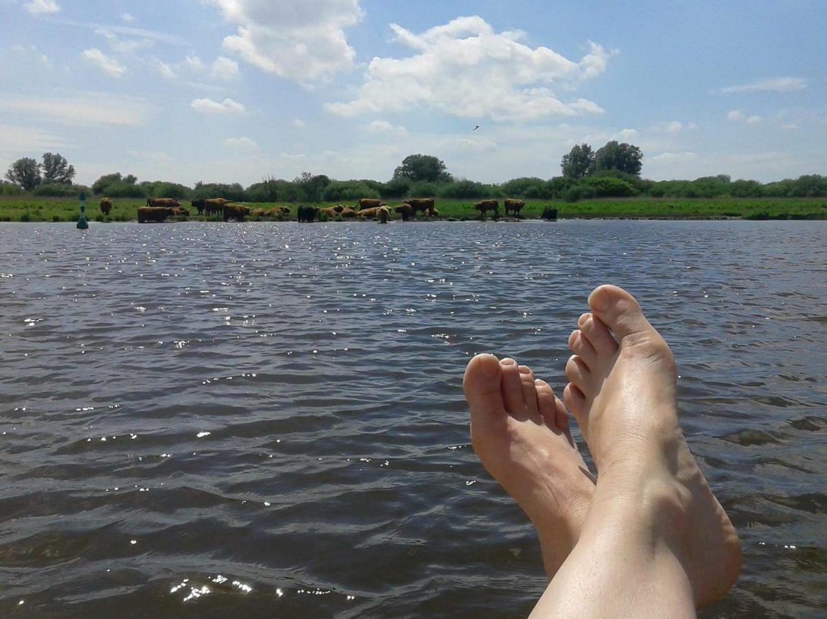 Bed en breakfast Uitrust Lauwerzijl Eksteriør billede
